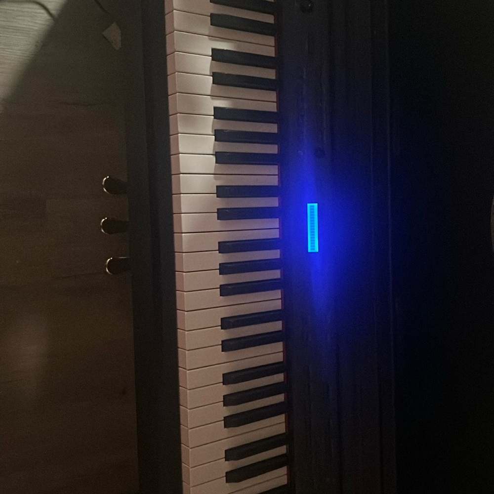 Suzuki Digital Piano